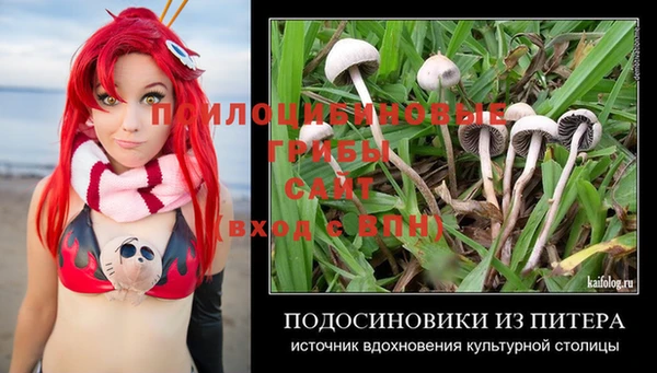 скорость Бронницы