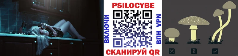 Купить где  Демидов  Галлюциногенные грибы прущие грибы 